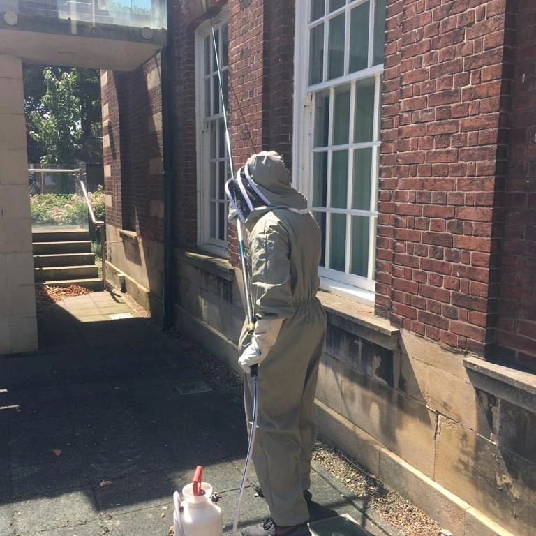 Pest Control East Riding Group Pest Management